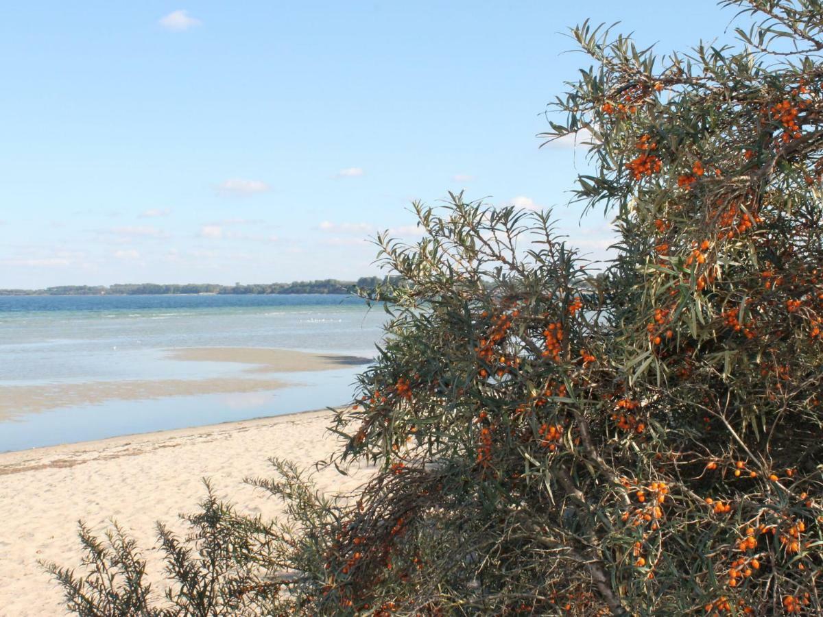 Lovely Bungalow Near Sea In Elmenhorst Kalkhorst Екстер'єр фото